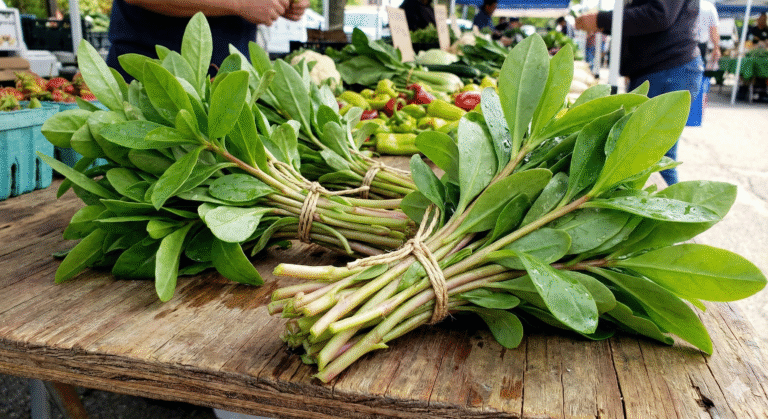 Bunches of water leaf on table at local market